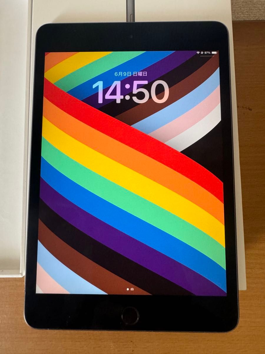 iPad mini 第5世代 Wi-Fi 64GB スペースグレ MUQW2J/A A2133 動作確認