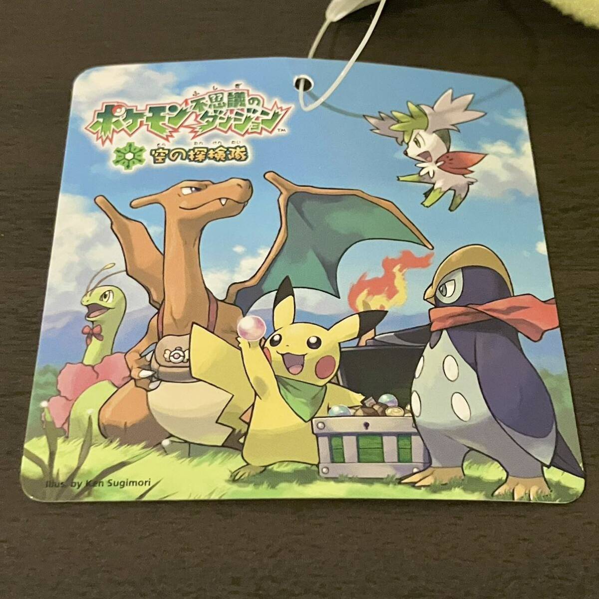 ポケモンセンター ポケモン不思議のダンジョン 空の探検隊 ぬいぐるみ