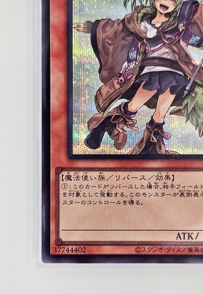 風霊使いウィン シークレット スターチップ 絵違い イラスト違い