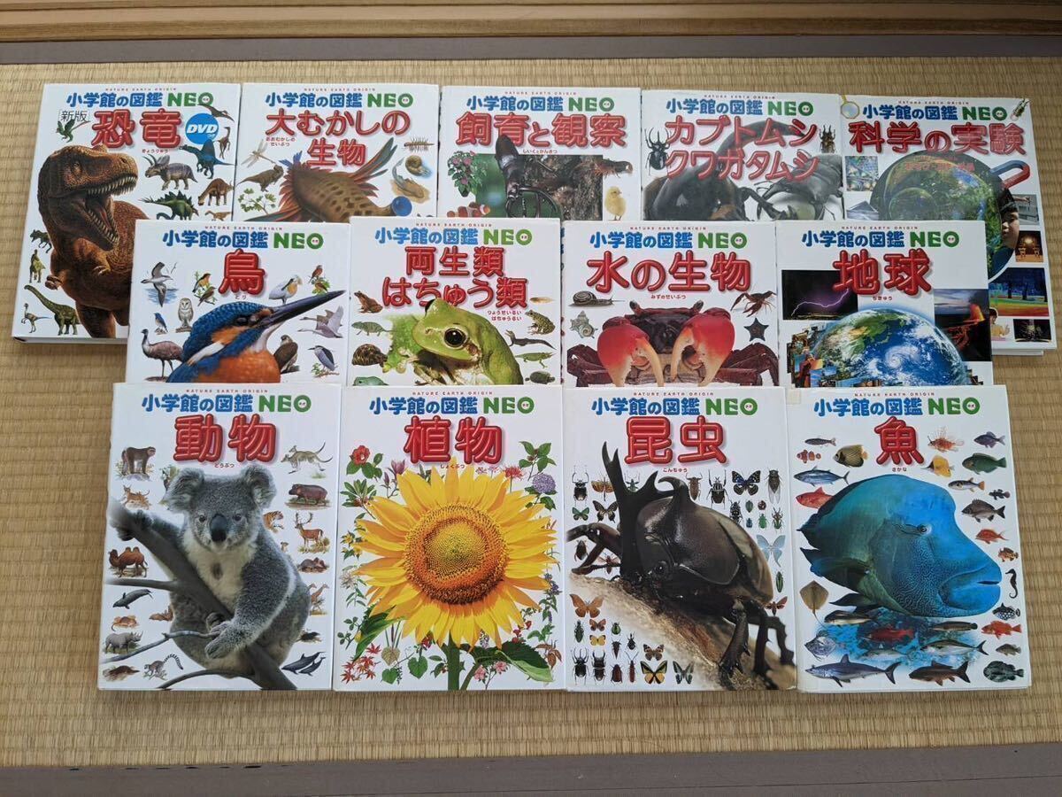 小学館の図鑑NEOシリーズ13冊セット①