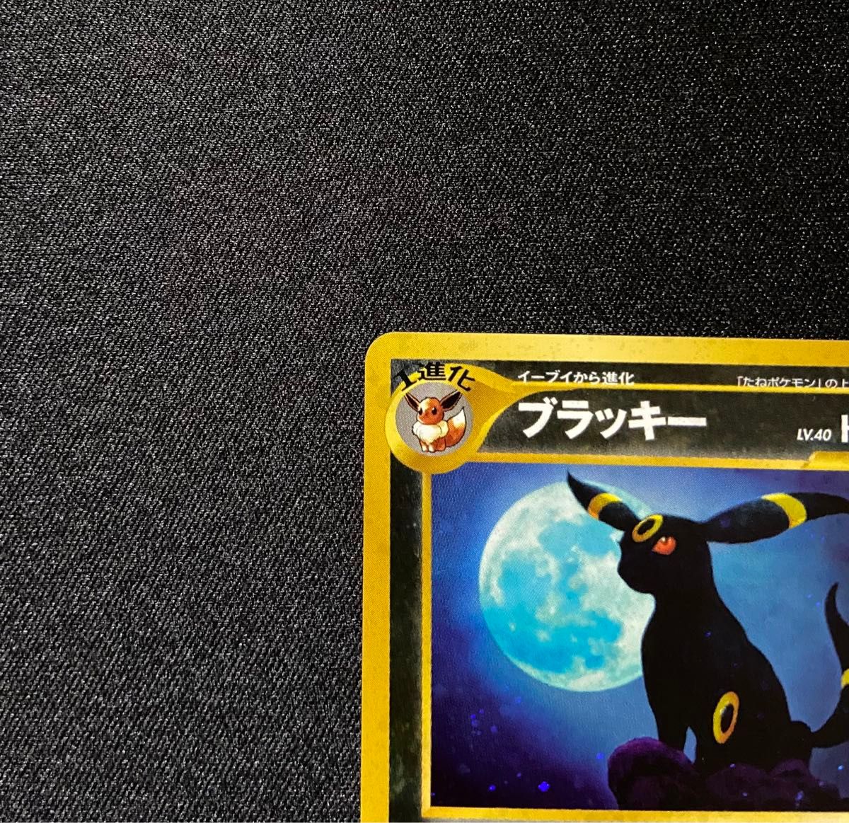 美品-極美品】ポケモンカード ブラッキー No 197 旧裏 遺跡をこえて