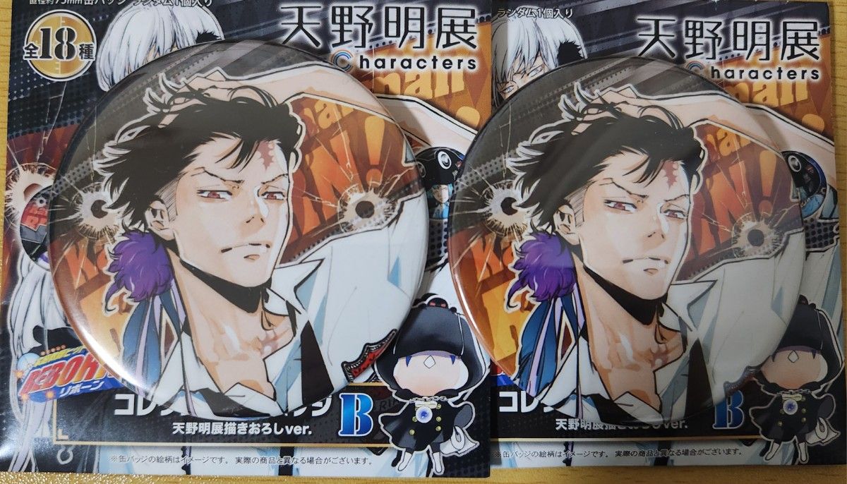 天野明展 XANXUS ザンザス 2個セット 缶バッジ 家庭教師ヒットマン