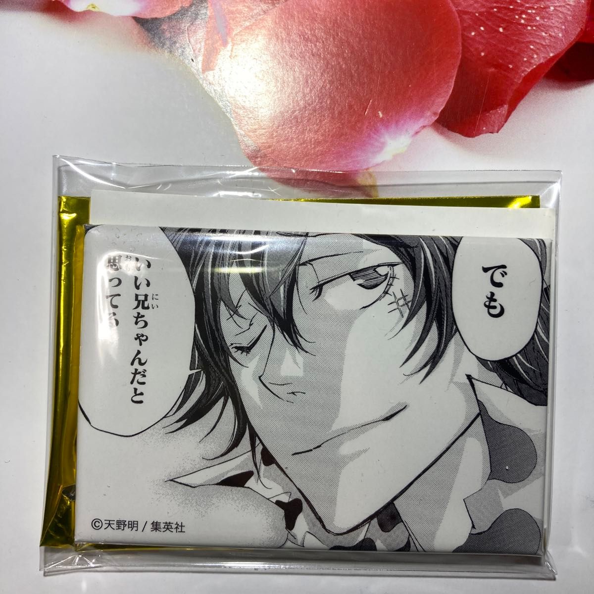 REBORN NEW 天野明展 in 京都 キャラバッジコレクション ランボ 大人