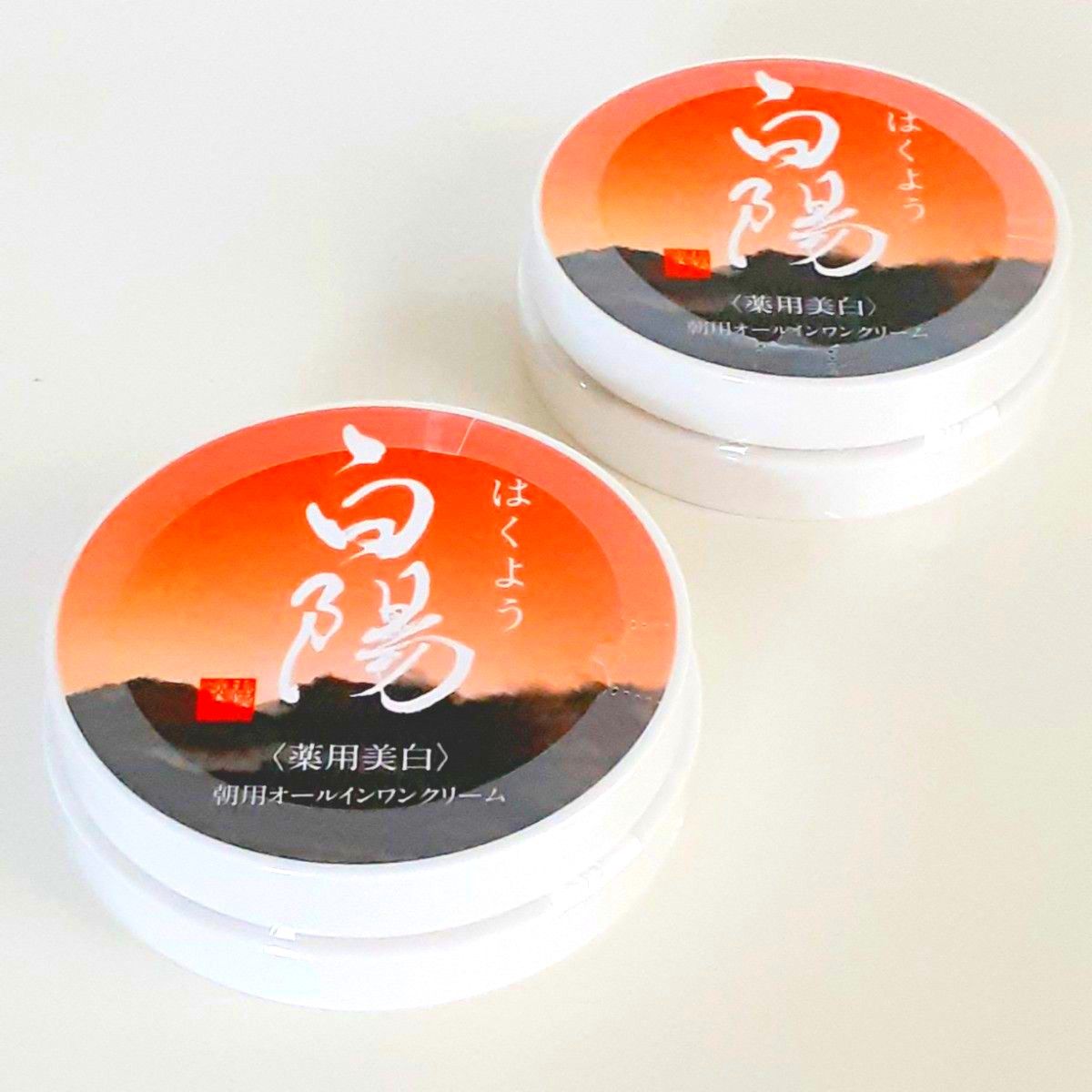 新品・未開封】新大和漢方 白陽 朝用オールインワンクリーム 40g×2個