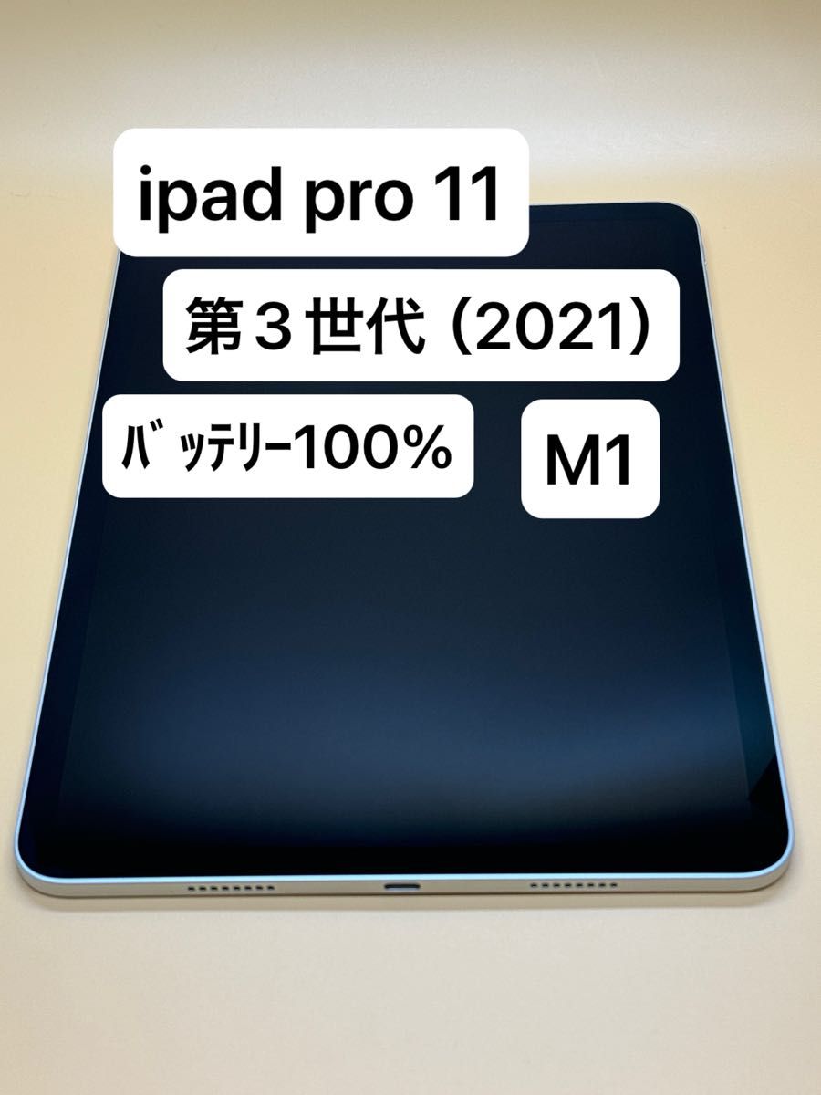ﾊﾞｯﾃﾘｰ100% iPad Pro 11インチ 第3世代 M1 Wi-Fiモデル 2021年モデル