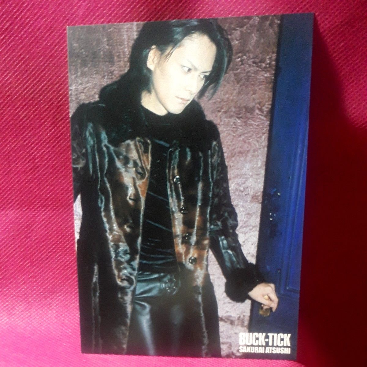 サイン 11枚組 ポストカード 櫻井敦司 BUCK-TICK 会報 バクチク現象 異