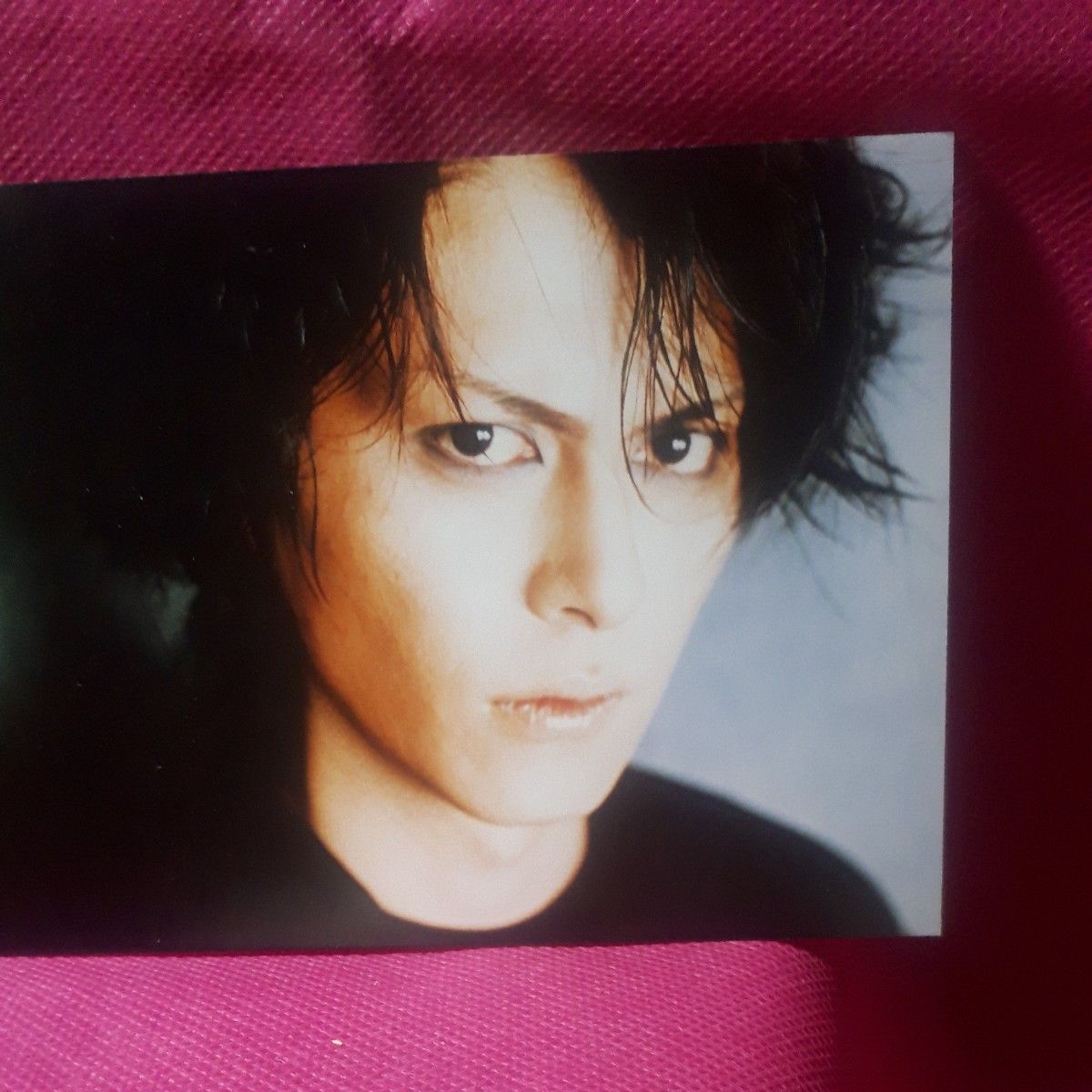 サイン 11枚組 ポストカード 櫻井敦司 BUCK-TICK 会報 バクチク現象 異