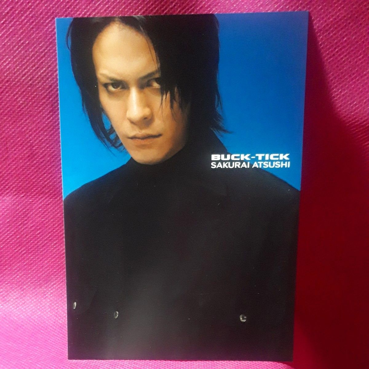 サイン 11枚組 ポストカード 櫻井敦司 BUCK-TICK 会報 バクチク現象 異
