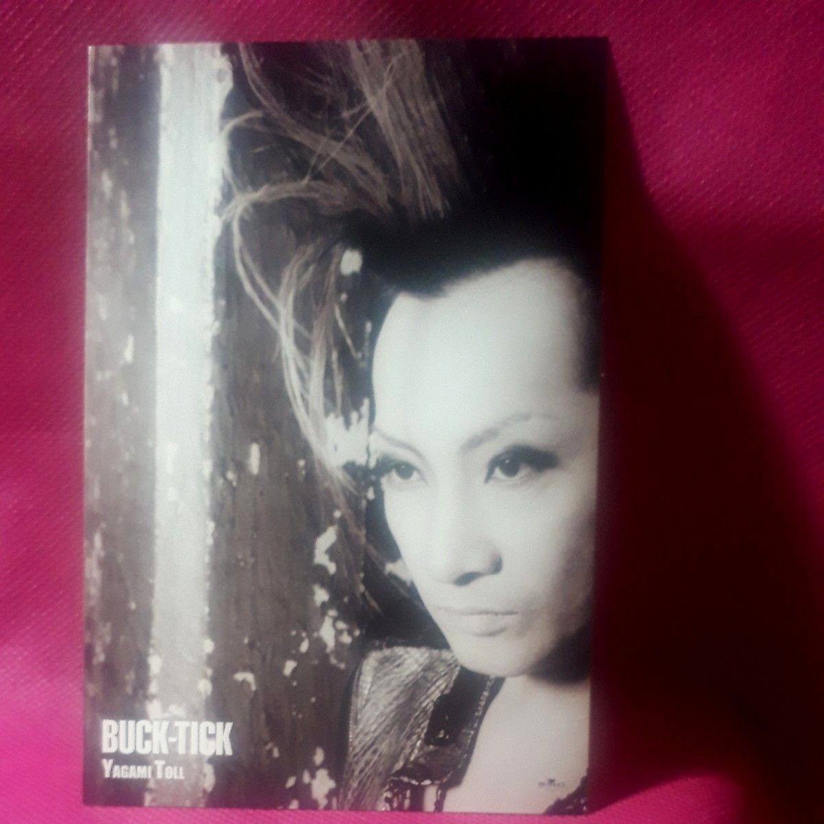 サイン 10枚組 ポストカード ヤガミトール 櫻井敦司 BUCK-TICK FISH