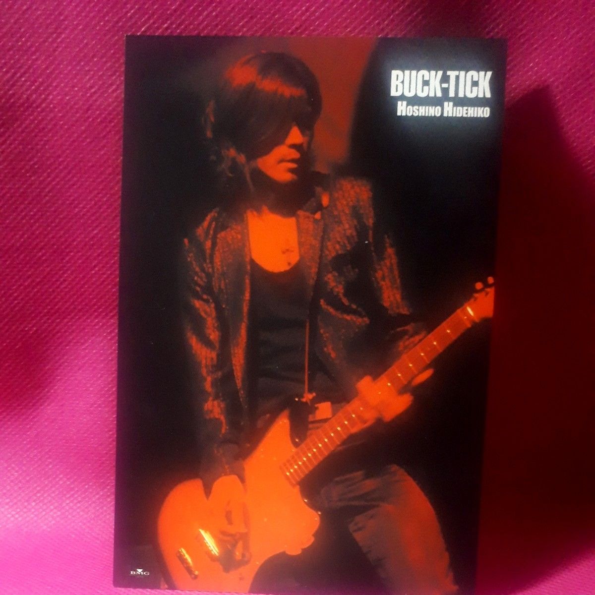 サイン 10枚組 ポストカード 星野英彦 櫻井敦司 BUCK-TICK FISH TANK