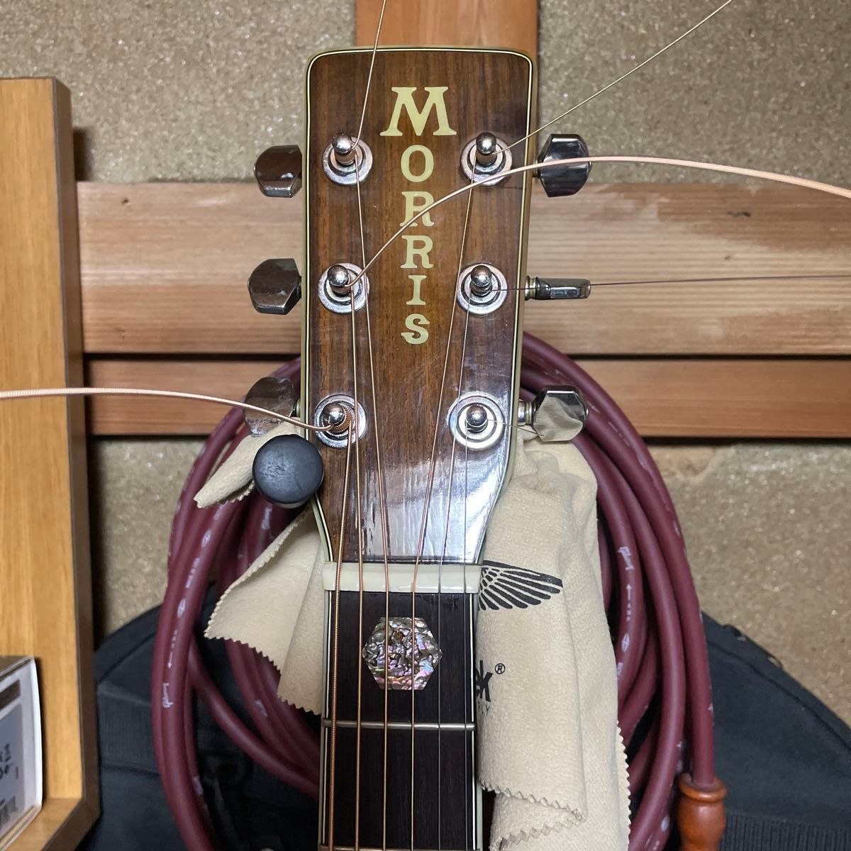 Morris モーリス アコースティックギター MT-40 縦ロゴ ジャパン