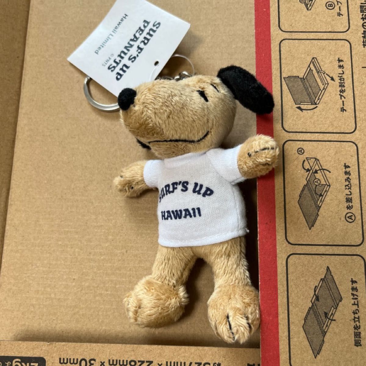 海外購入品 日焼けスヌーピーサフィン Yahoo!オークション - kj 額装品