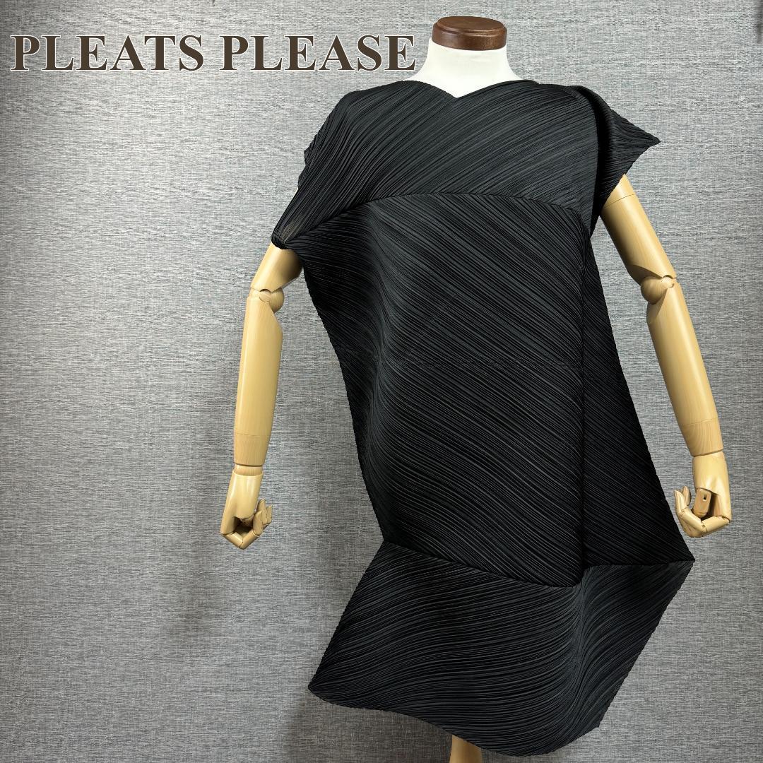 プリーツプリーズ PLEATS PLEASE イッセイミヤケ ISSEY MIYAKE 変形