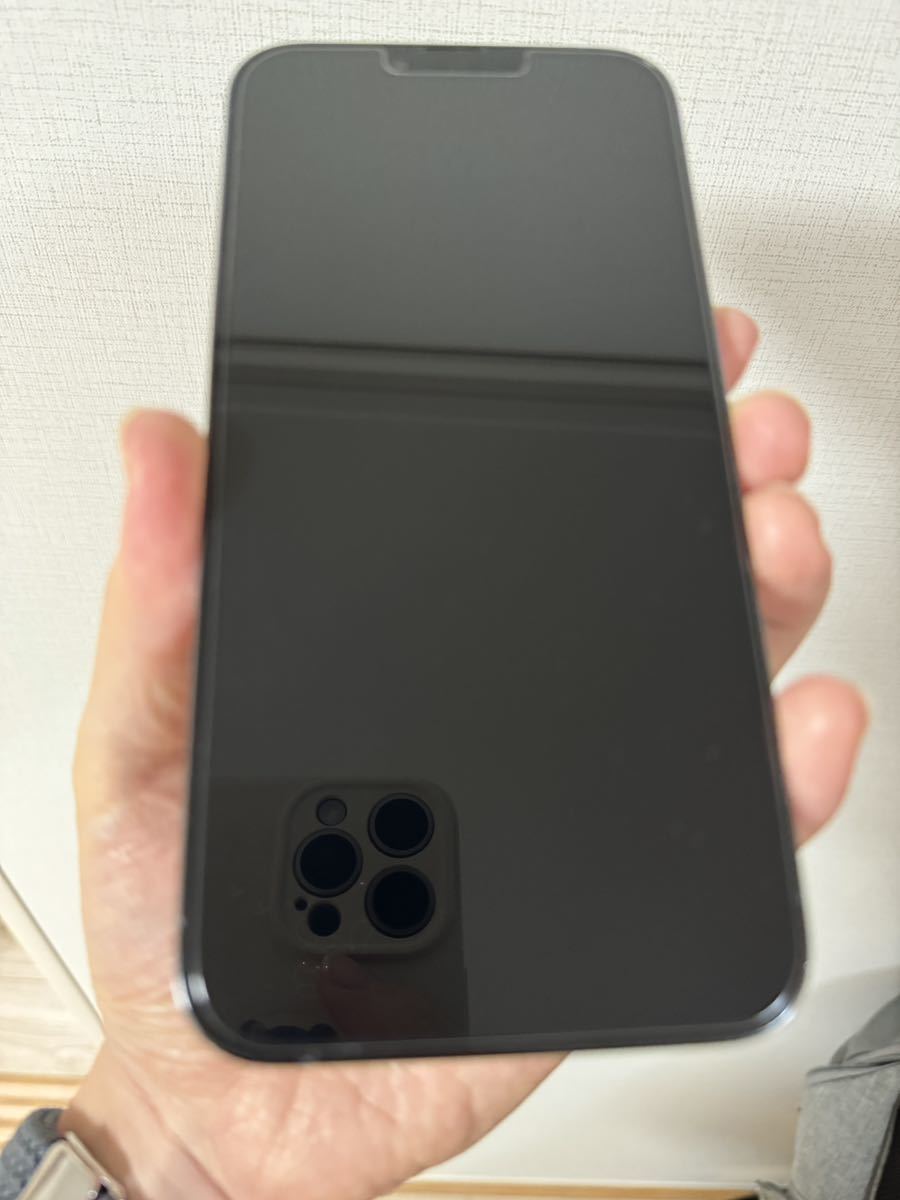 iPhone 13 Pro Max 256GB シエラブルー SIMフリー 多数おまけ付き