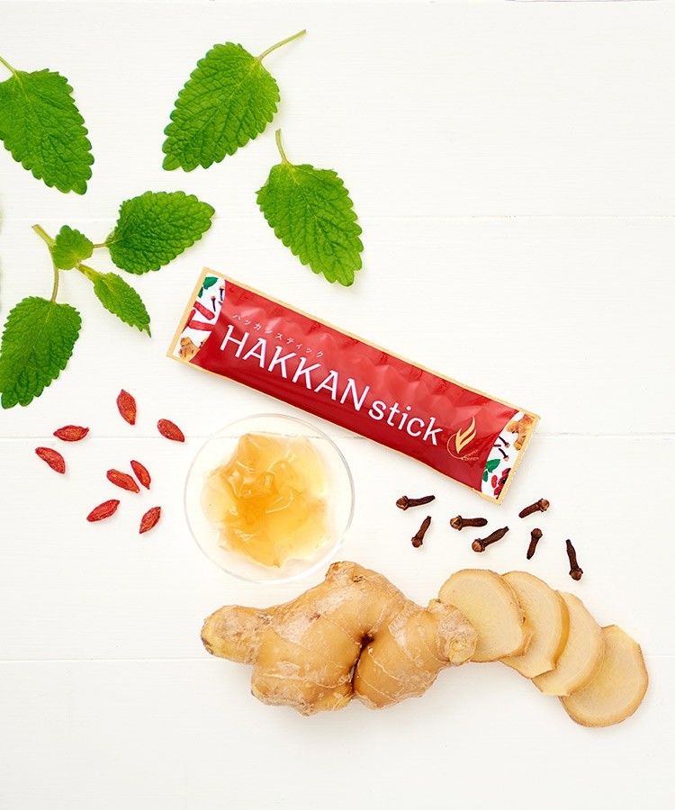 LAVA】HAKKAN stick 発汗スティック 1袋(20g×10）｜Yahoo!フリマ（旧