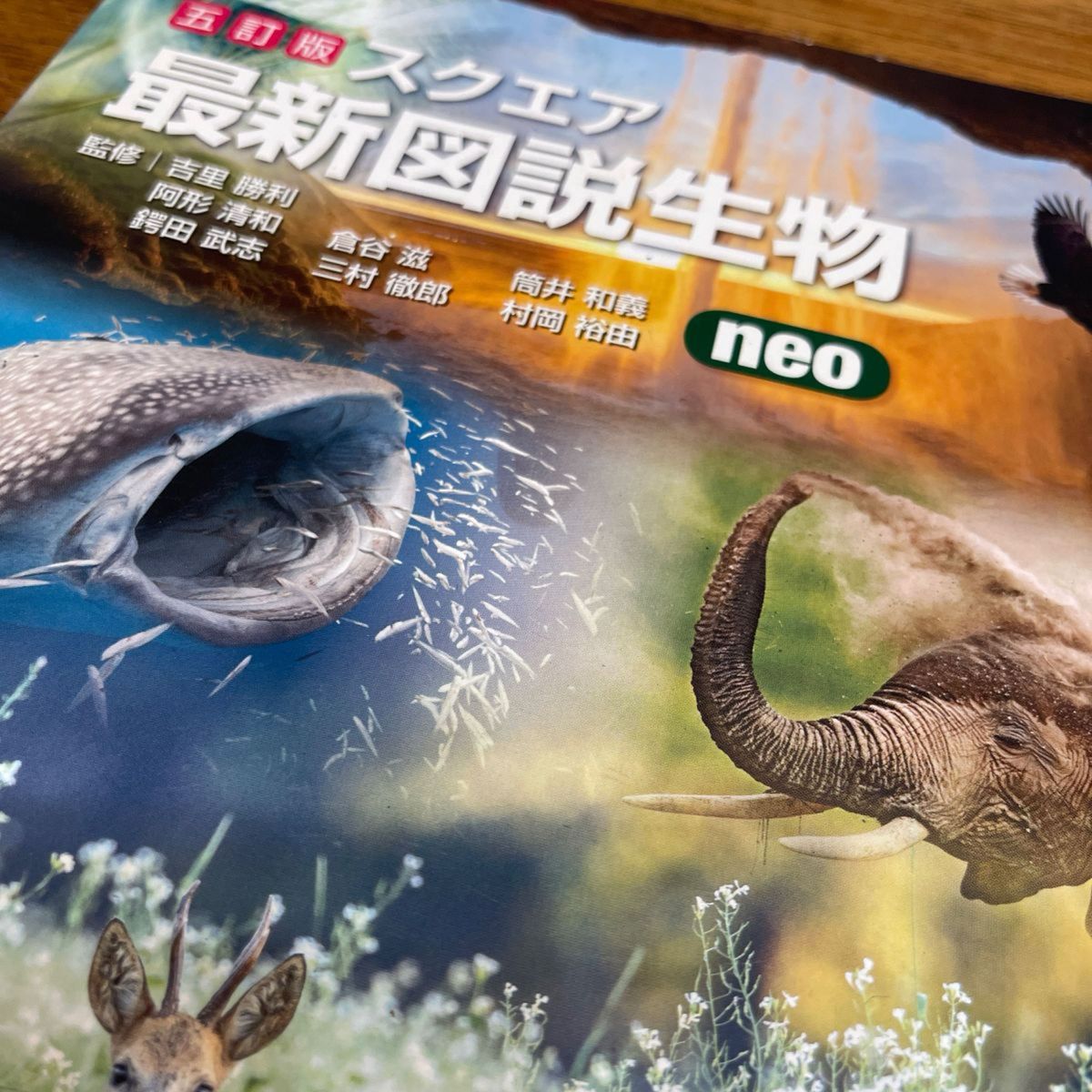 最新図説生物 教科書 スクエア 第一学習社｜Yahoo!フリマ（旧PayPay