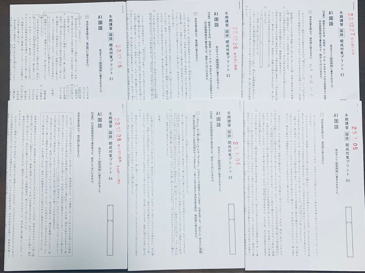 サピックス 小学6年 国語 冬期講習 開成対策プリント01～06 解答解説