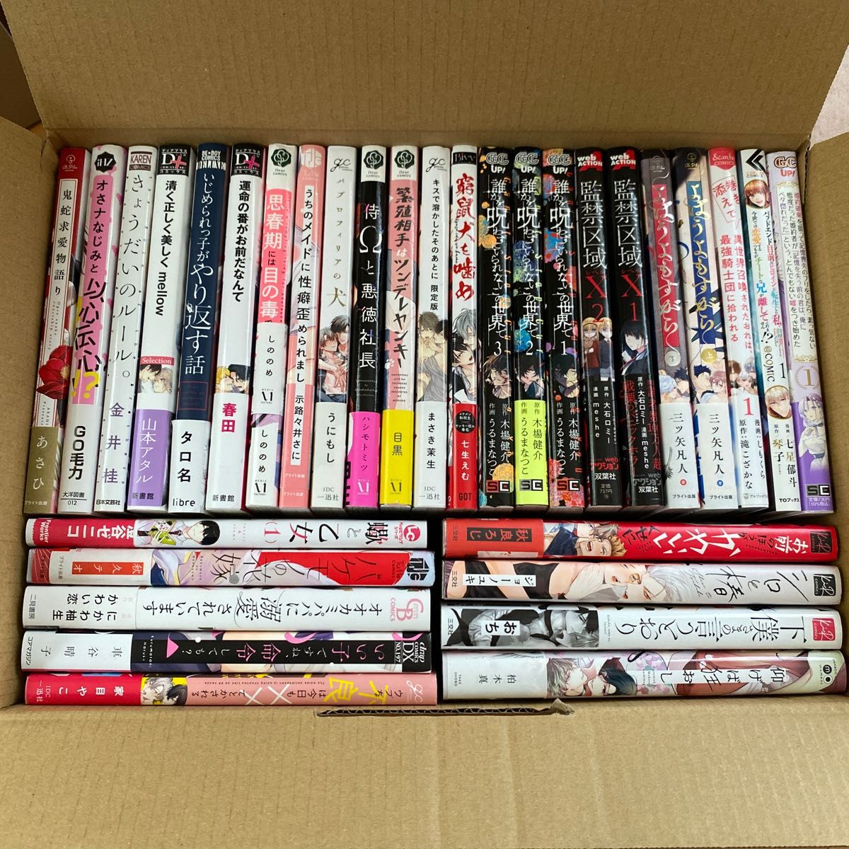 値下げしました BL 漫画 BLコミック 中古本 まとめて 32冊 1冊100円