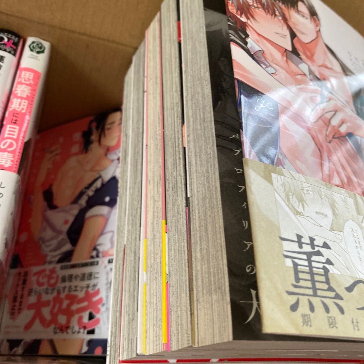 値下げしました BL 漫画 BLコミック 中古本 まとめて 32冊 1冊100円