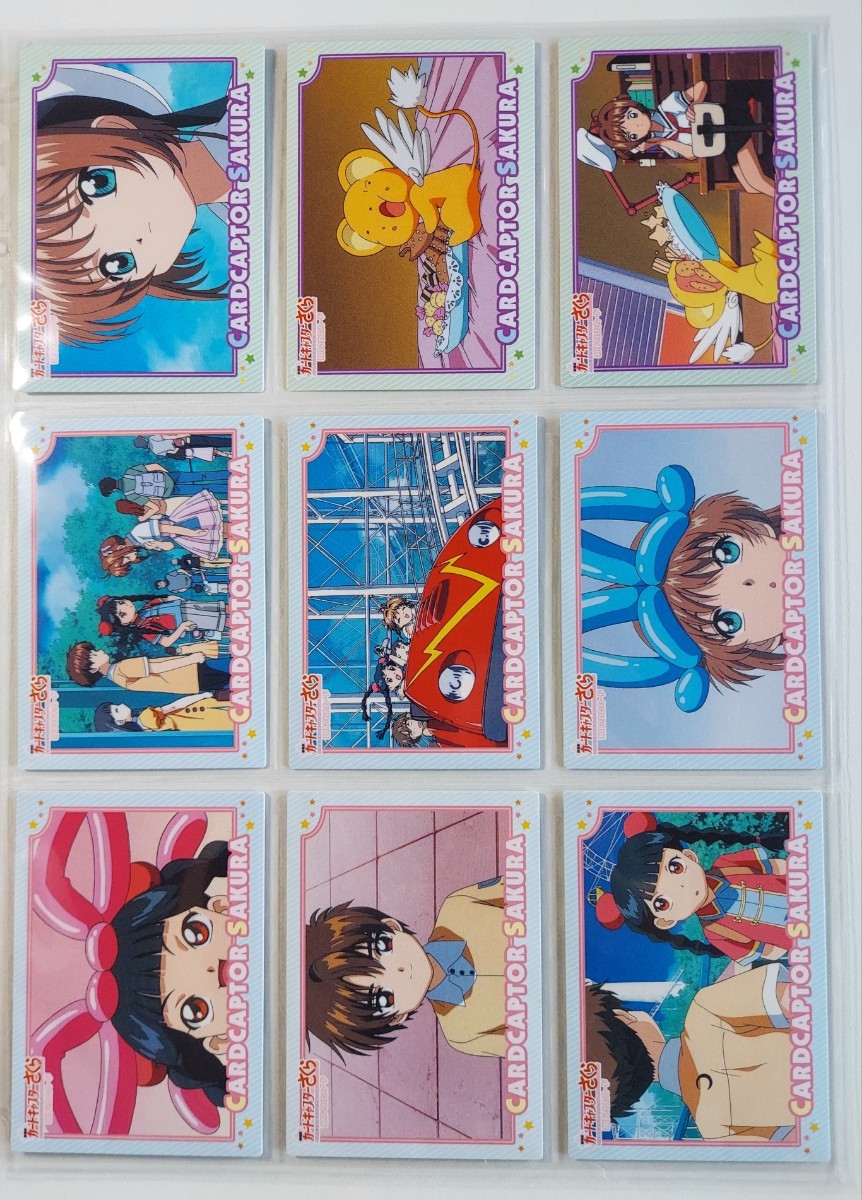 カードキャプターさくら カードバインダー 天田、カードマスターズ