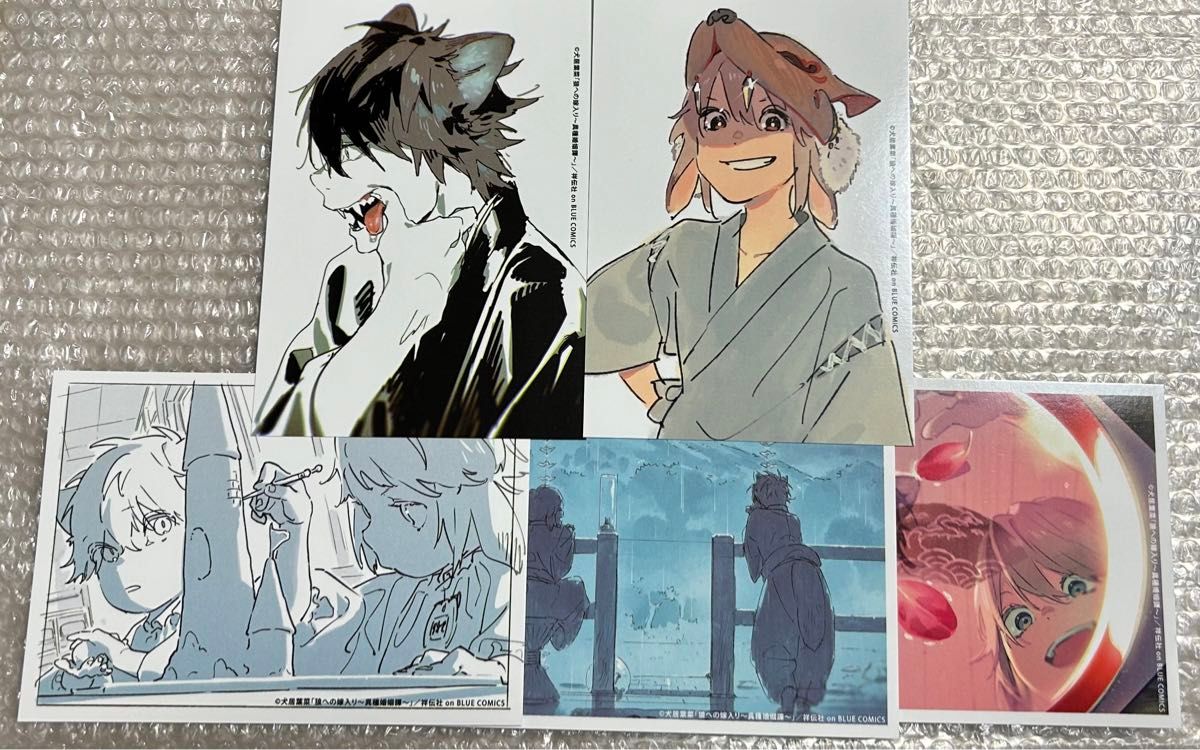 狼への嫁入り～異種婚姻譚～ 犬居葉菜 ブロマイド 5種セット｜Yahoo