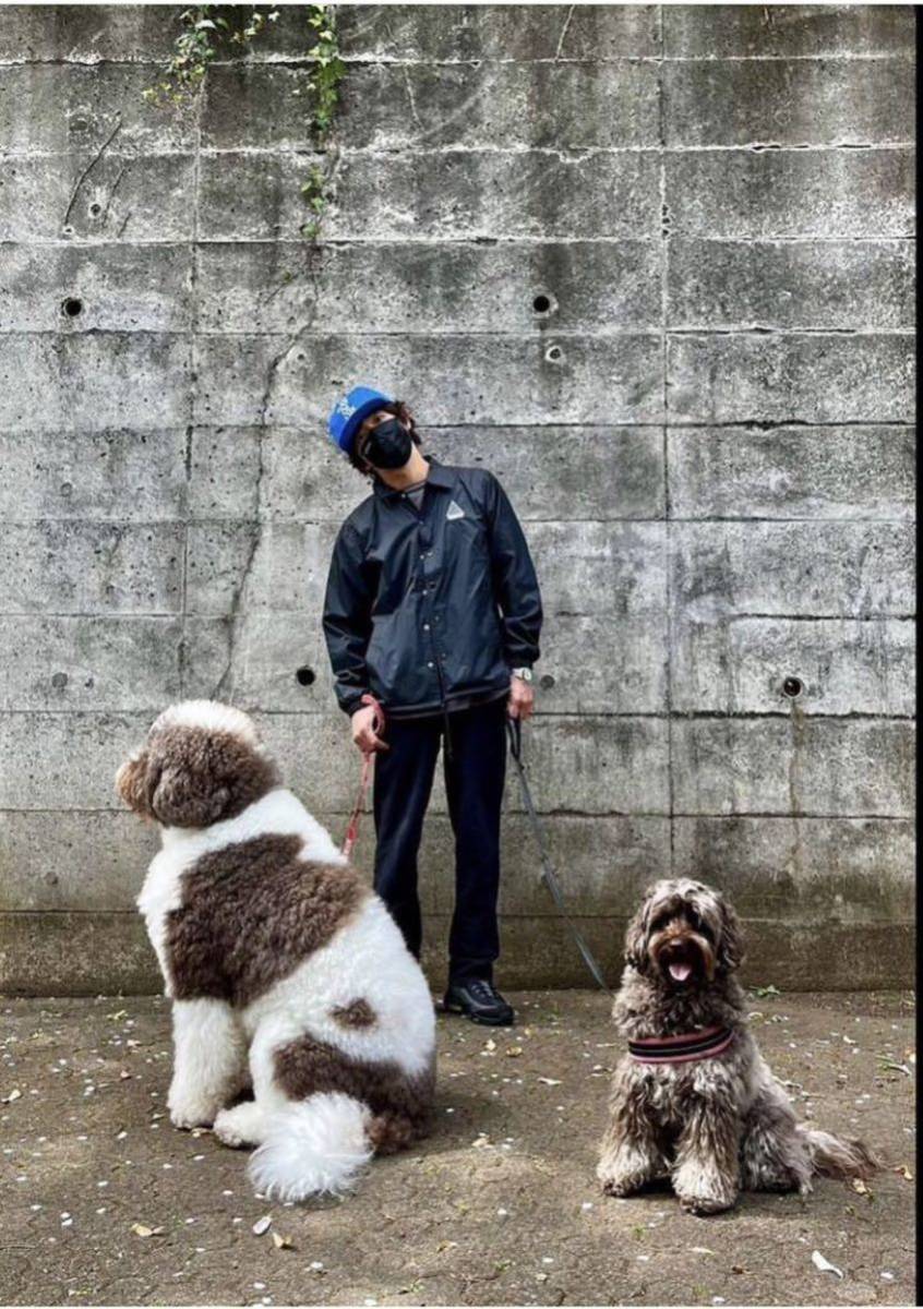 キムタク love ear art コーチジャケットラブイヤーアート Mサイズ