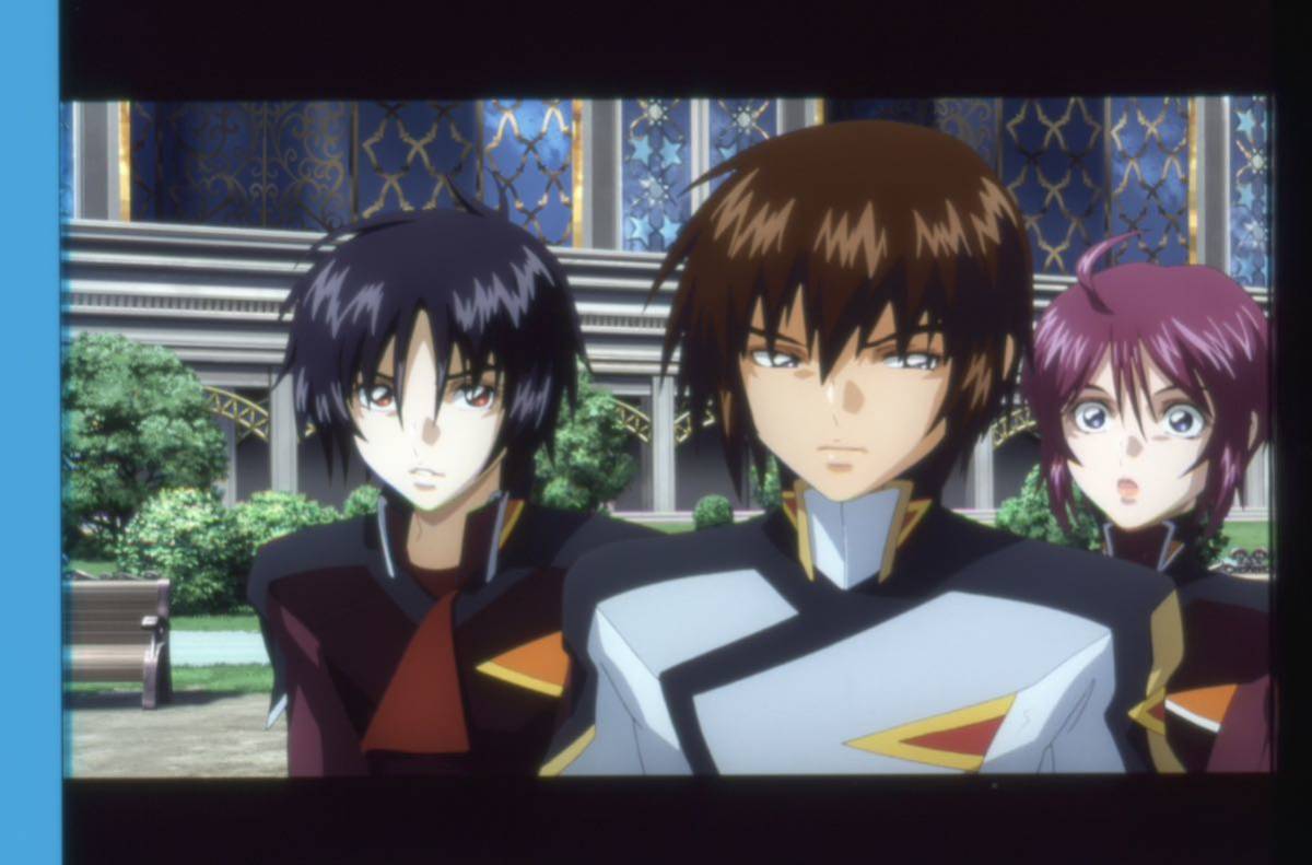 Yahoo!オークション - 機動戦士ガンダムSEED FREEDOM 入場者プレゼント