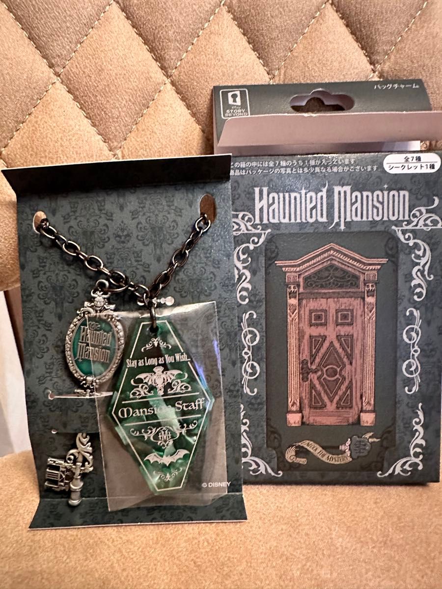 送料無料 ディズニー ストーリービヨンド ホーンテッドマンション
