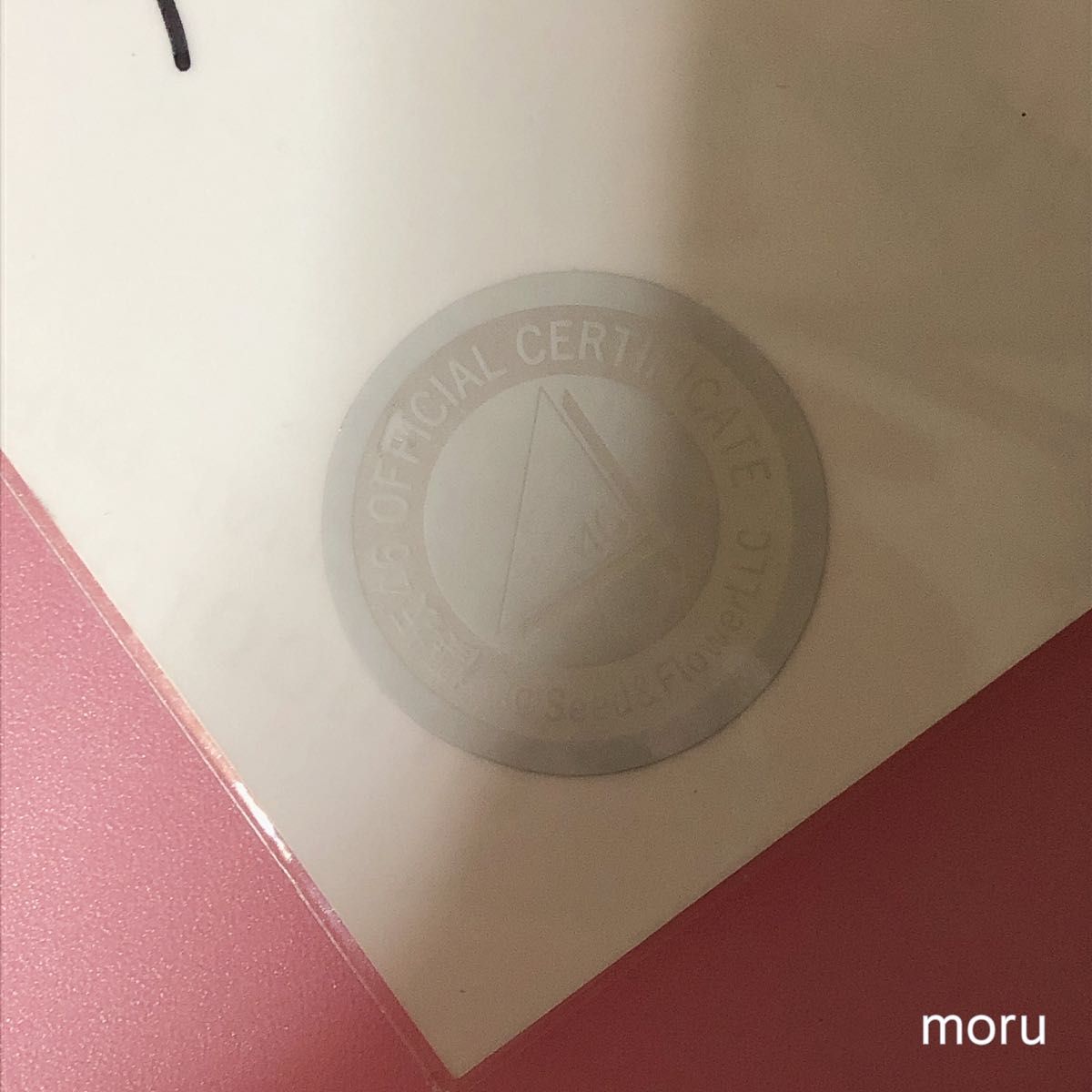 櫻坂46 向井純葉 直筆サイン入り生写真 Start over ジャケット写真衣装