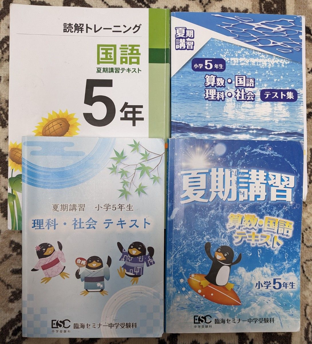 一部書込みあり】臨海セミナー中学受験科 小5 2022年度 夏期テキスト
