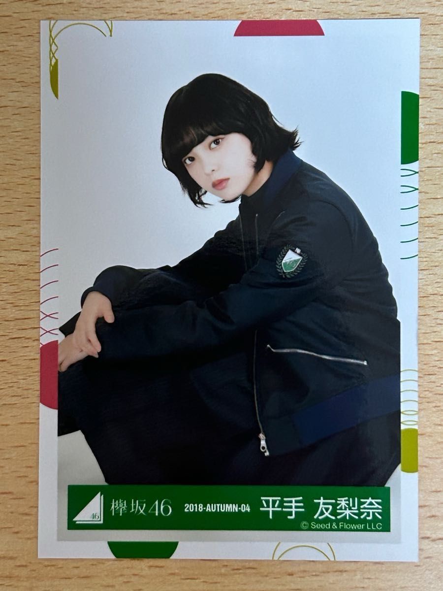 欅坂46 平手友梨奈 生写真 ガラスを割れ アンビバレントなど バラ 合計