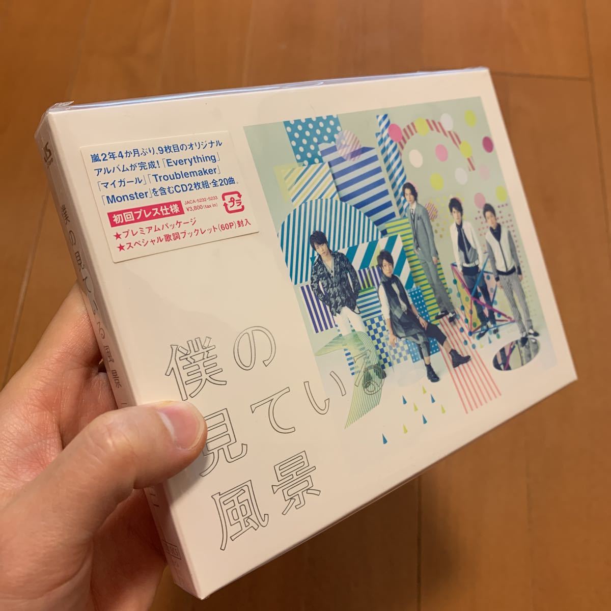 嵐 ARASHI 僕の見ている風景 初回プレス仕様 CD2枚組 プレミアム