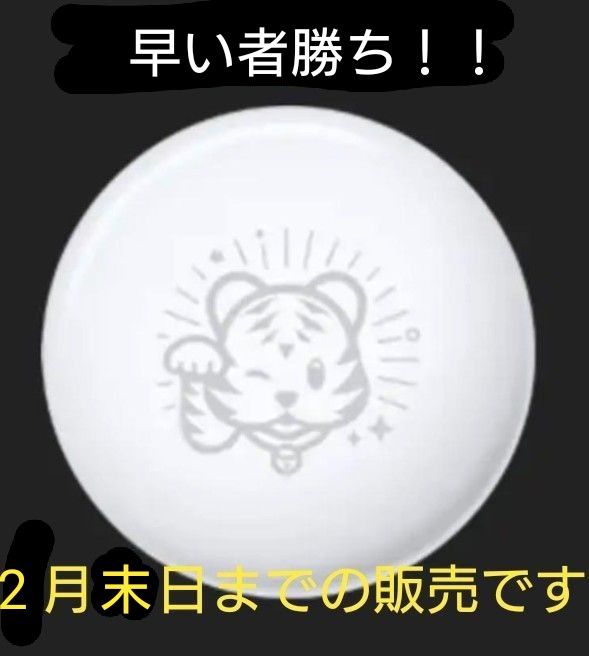 新品未開封 Apple AirTag 干支エアタグ 2022寅年｜Yahoo!フリマ