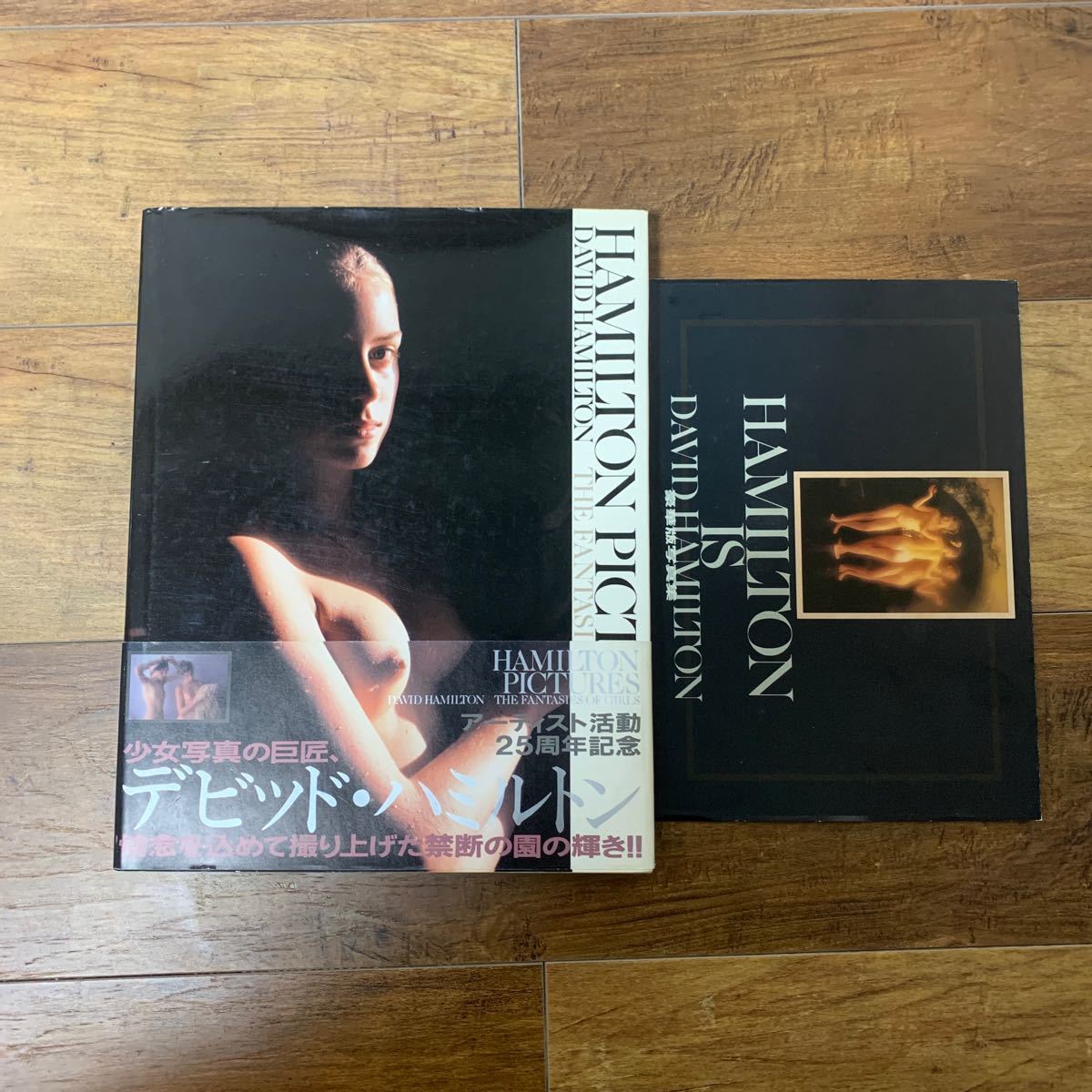 ハミルトン・ピクチャーズ David Hamilton 初版 帯、フライヤー付