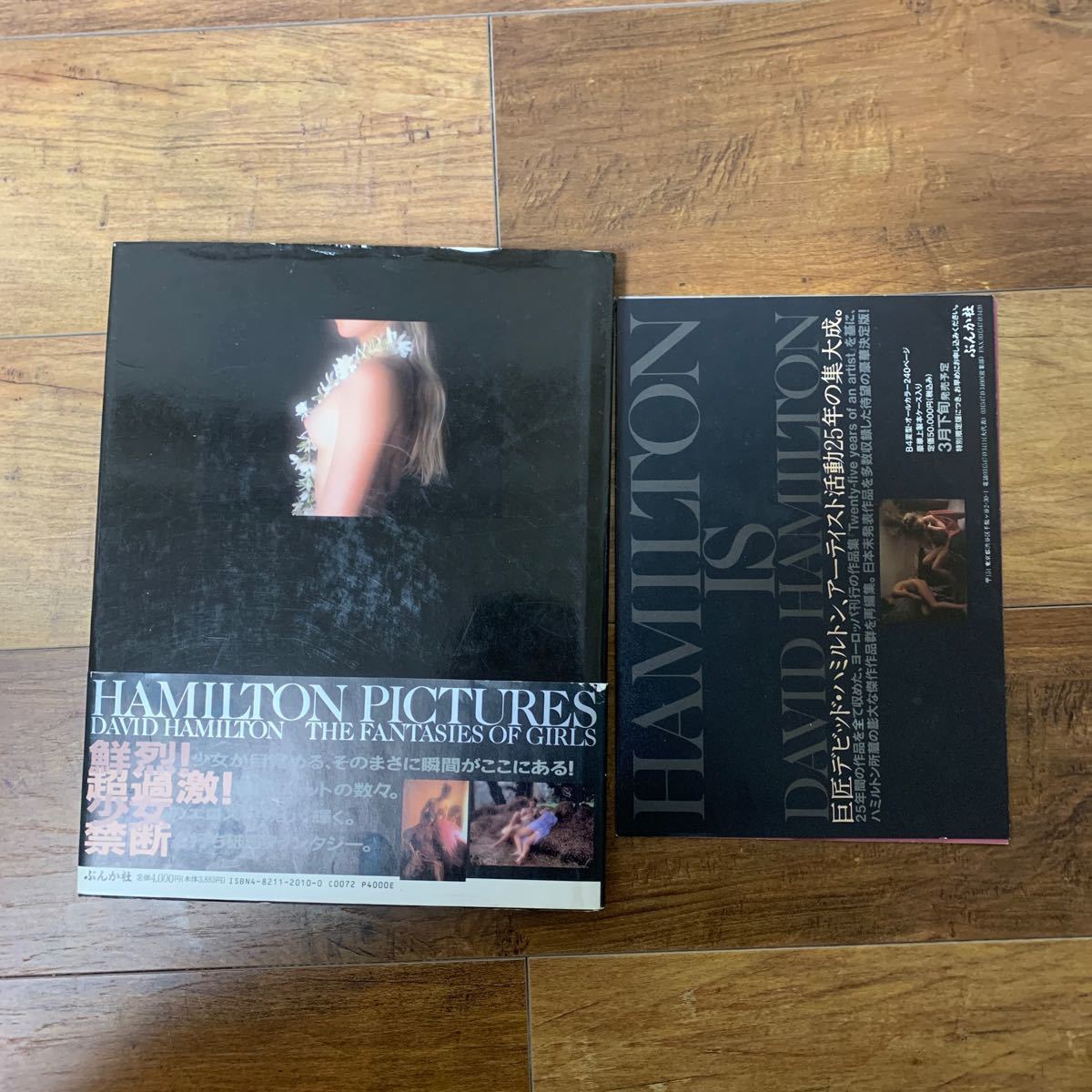 ハミルトン・ピクチャーズ David Hamilton 初版 帯、フライヤー付