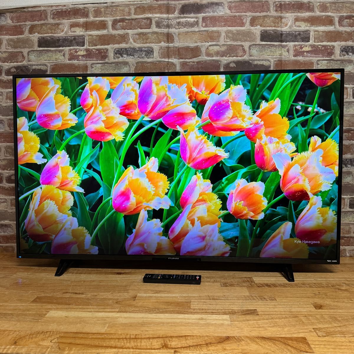 フナイ 50インチ 4K HDR対応 液晶テレビ FL-50U3010 外付けUSB HDD 裏