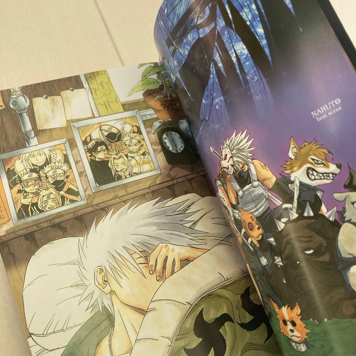 NARUTO秘伝・臨の書 兵の書 キャラクターオフィシャルデータ