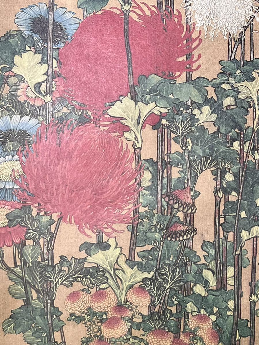 Yahoo!オークション - 【模写】葛飾北斎「菊図」掛軸 花図 紙本 複製