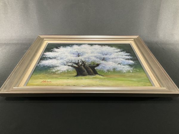 西田彰 根尾淡墨桜F6 油絵 日本画 作品番号20997 Akira 日本三大桜