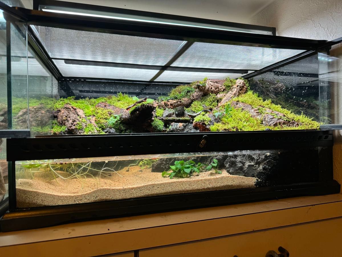 グラステラリウム6030 横浜 グラステラリウム6030 エキゾテラ GEX