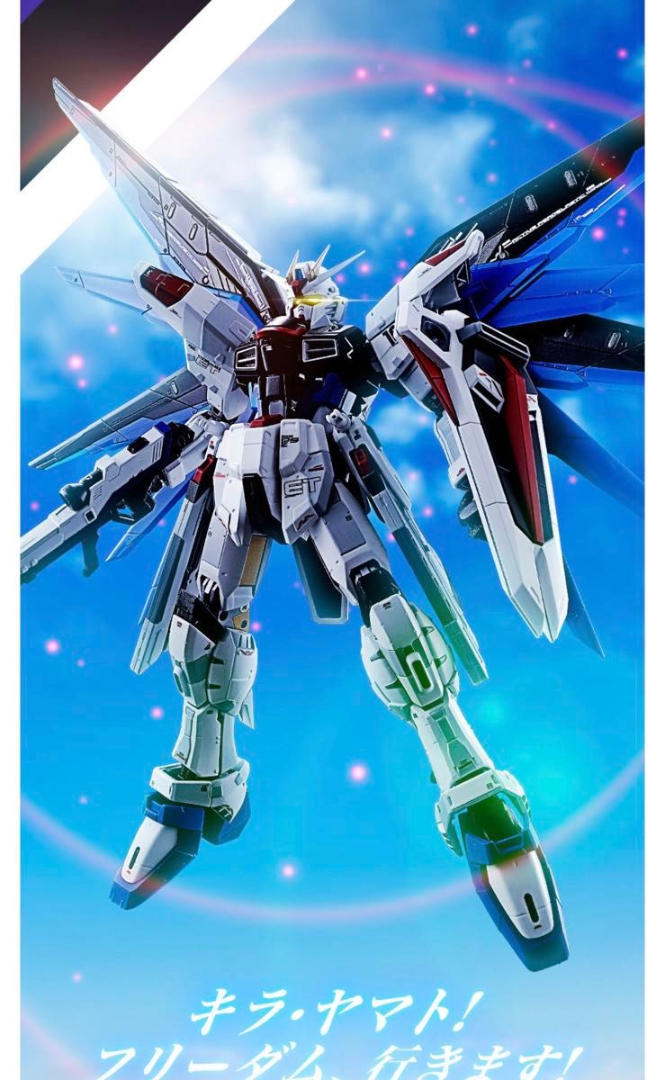 新品未開封】超合金 ZGMF-X10A フリーダムガンダム Ver GCP 機動戦士