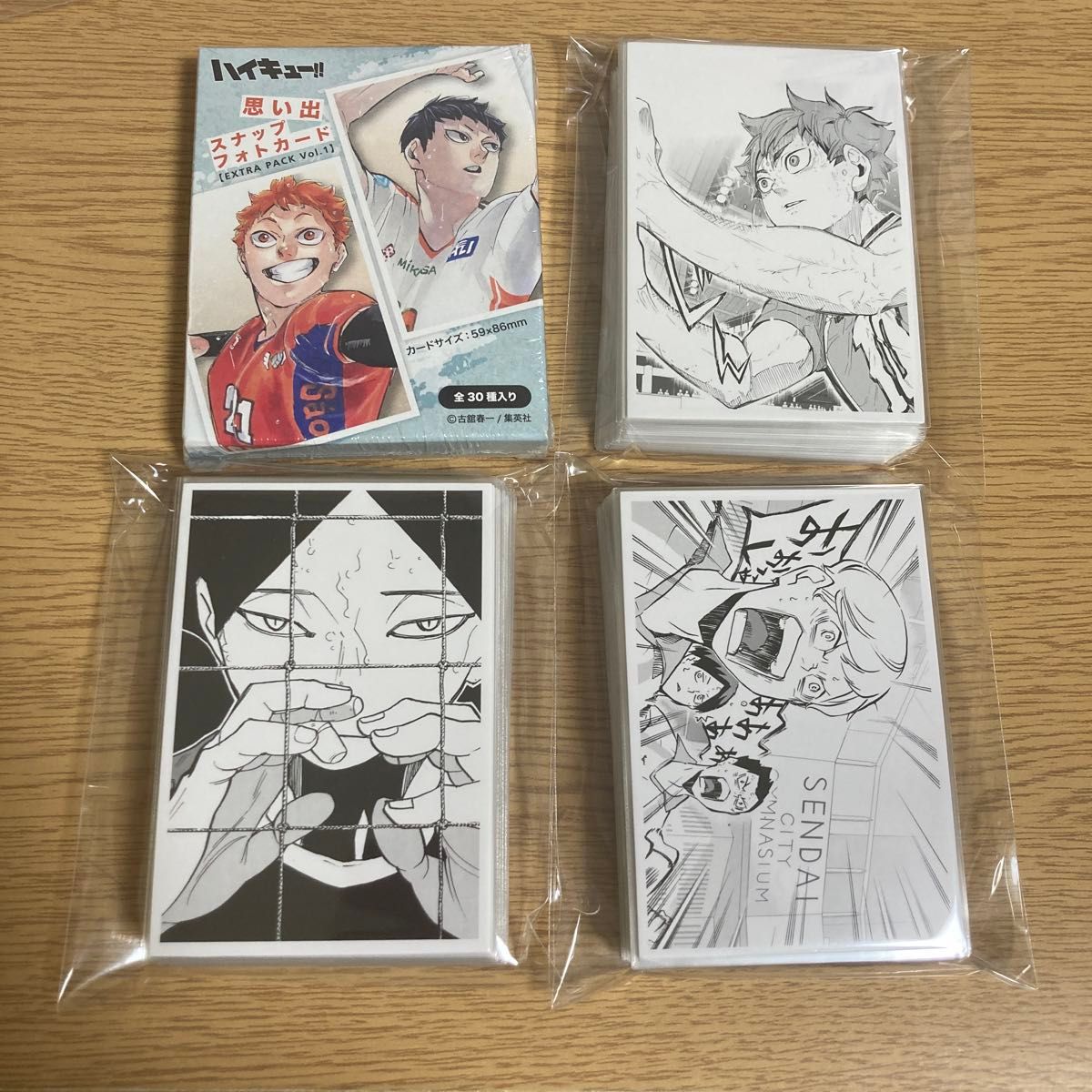 ハイキュークロニクル 思い出スナップ風フォトカード 120枚+30枚セット
