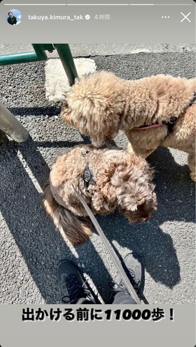 シュプリーム × ナイキ エアマックス DN 27cm 木村拓哉 キムタク