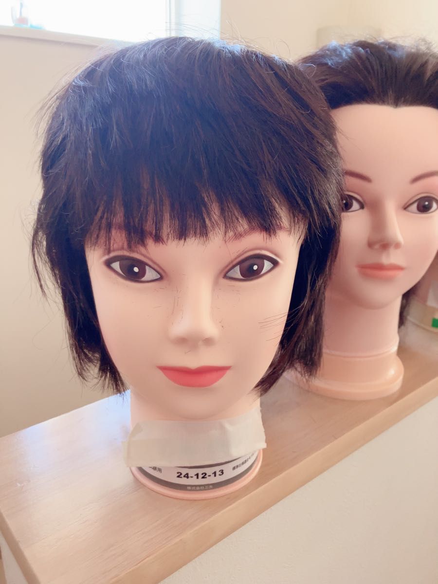 カットウィッグ お化け屋敷 マネキン美容師国家試験練習用ディスプレイ