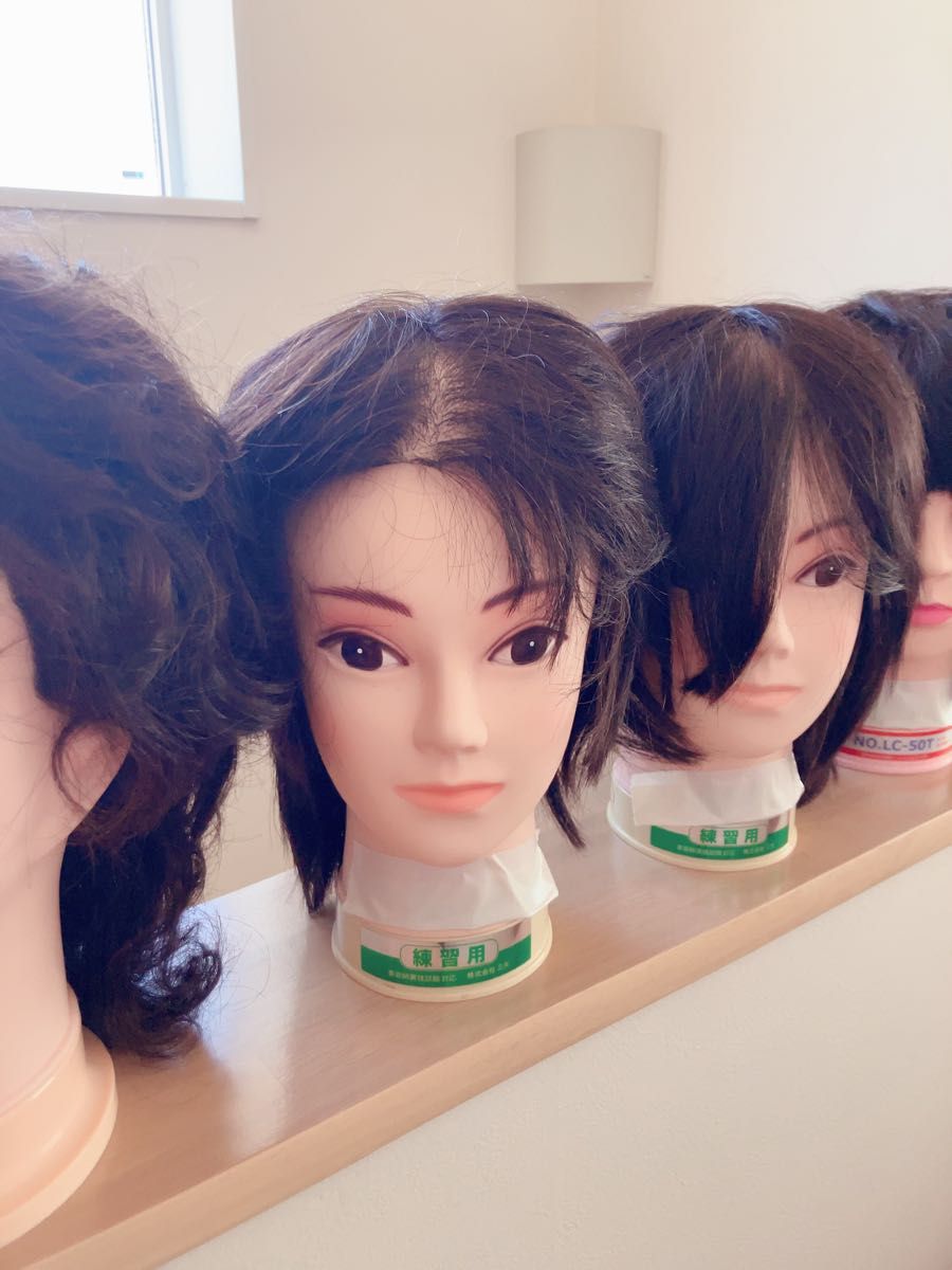 カットウィッグ お化け屋敷 マネキン美容師国家試験練習用ディスプレイ