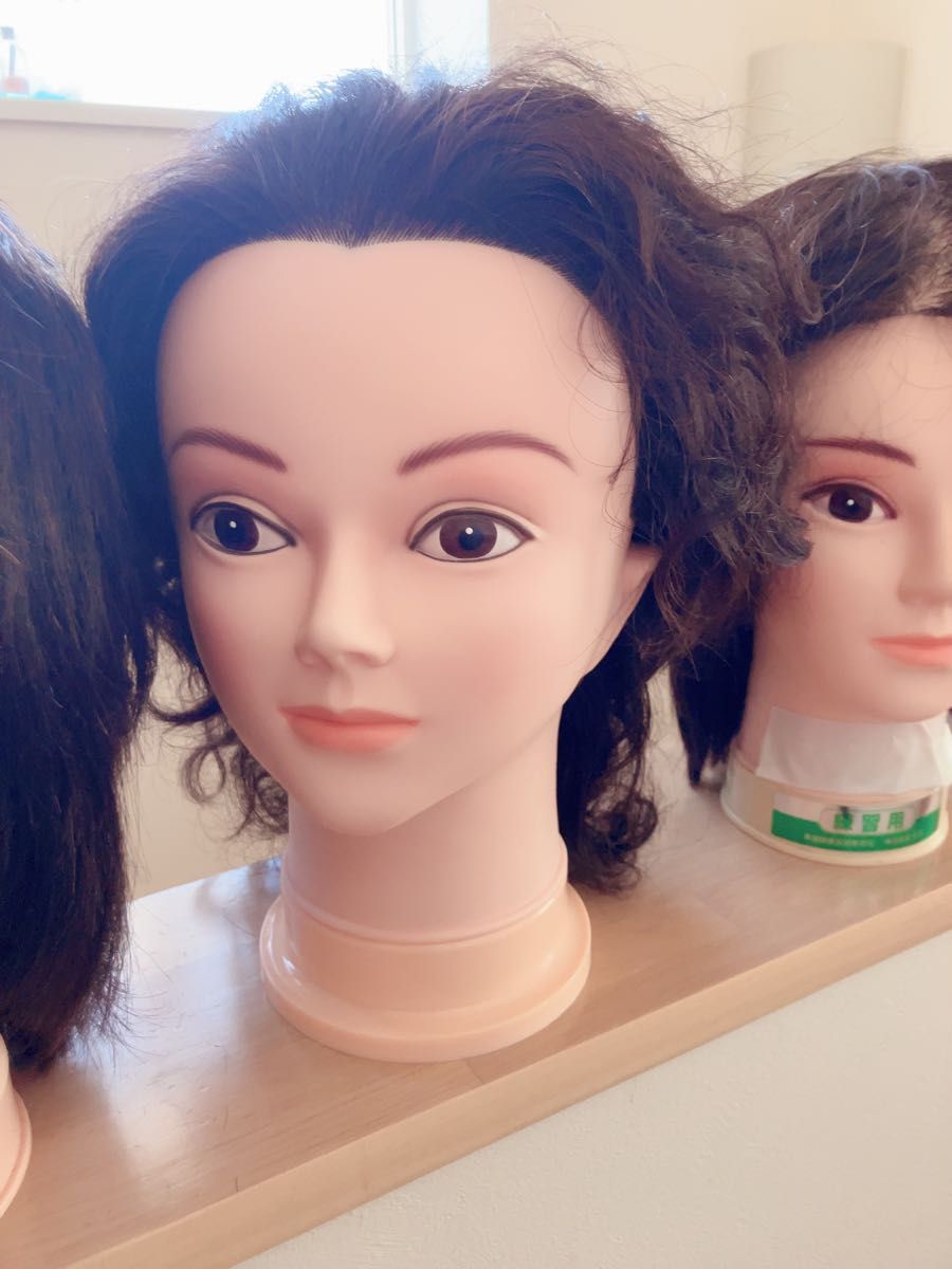 カットウィッグ お化け屋敷 マネキン美容師国家試験練習用ディスプレイ