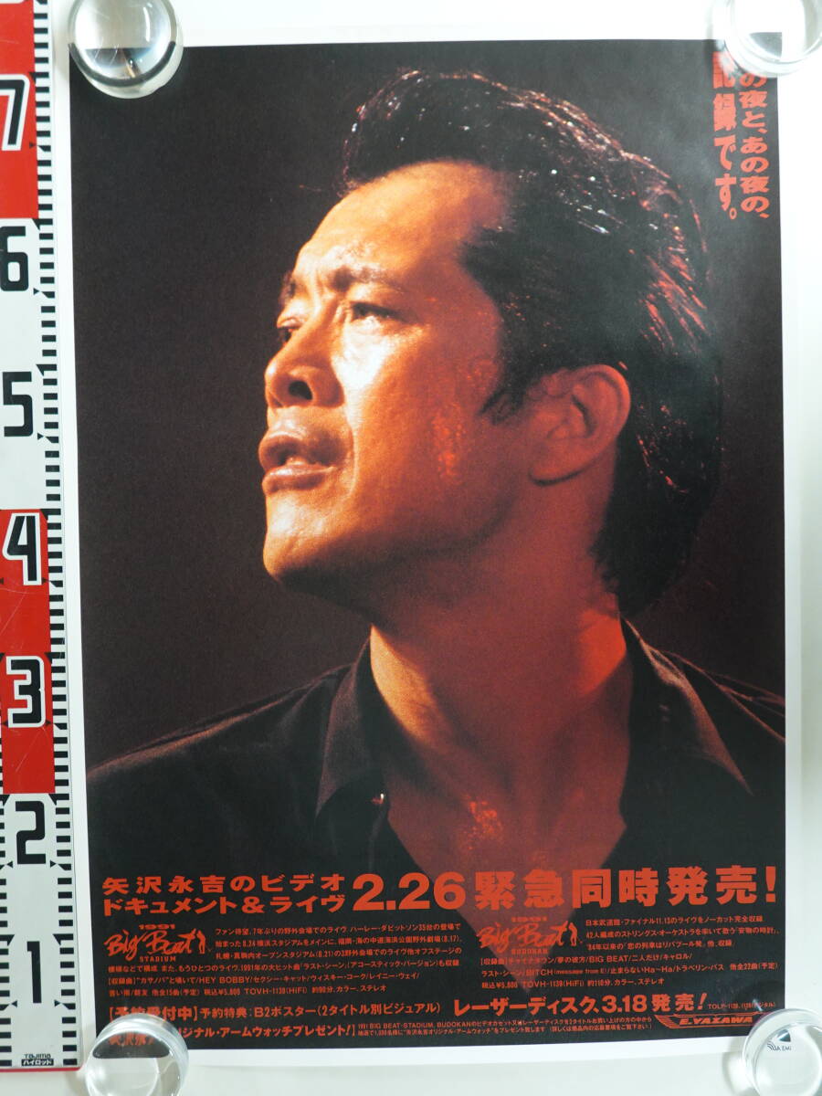 矢沢永吉 1991 Big Beat BUDOKAN DVD 矢沢永吉 DVD 1991 Big Beat