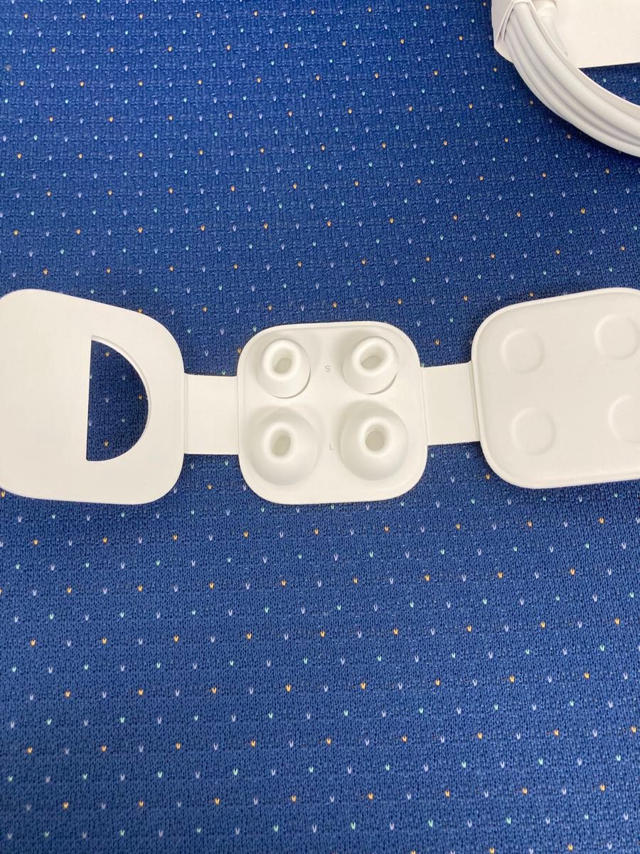AirPods本体 充電ケーブル イヤーチップ付き Apple AirPods 付属 純正