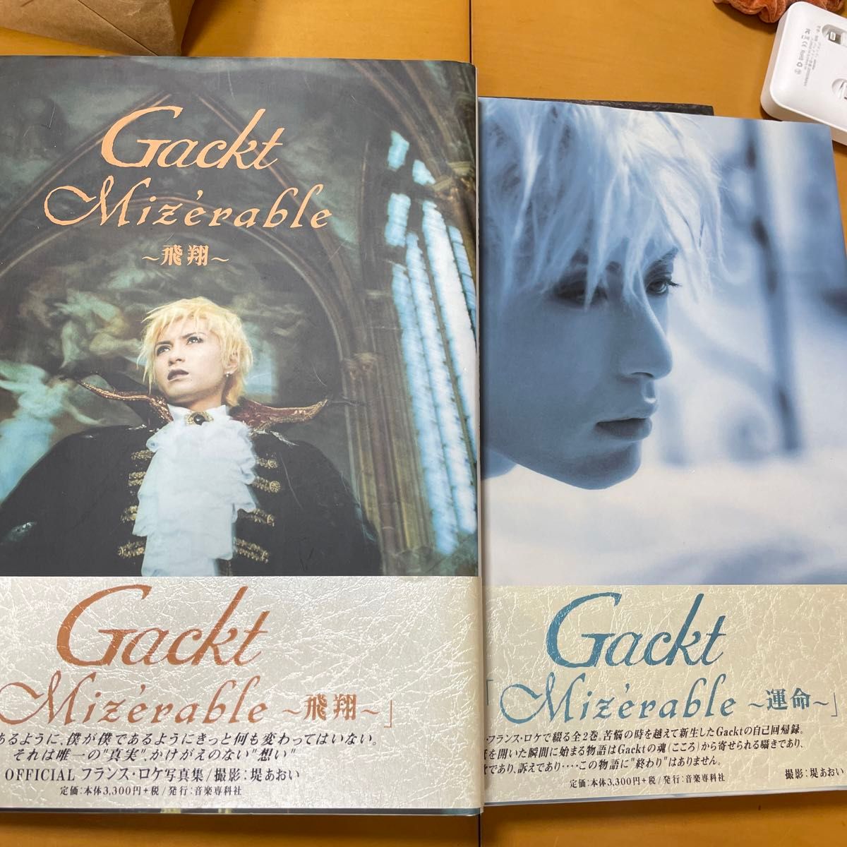 GACKT ミゼラブル 飛翔 運命 上下巻セット｜Yahoo!フリマ（旧PayPay