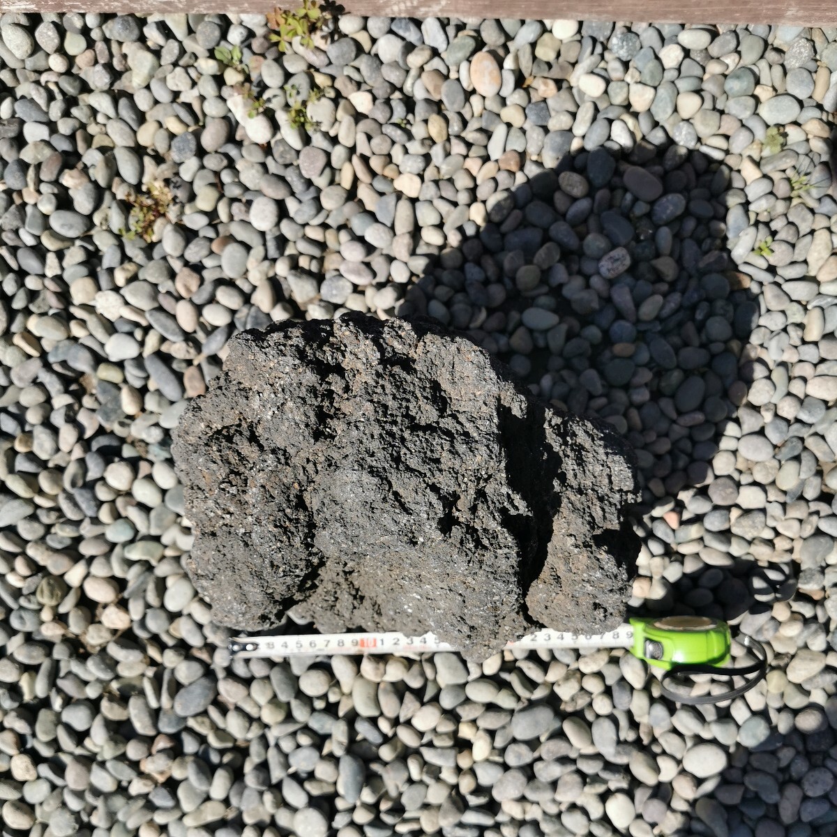 富士溶岩石81キロ 庭石鑑賞石石盆石水石灯籠庭坪庭盆栽